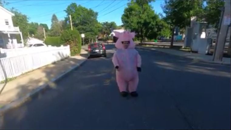 How to Crash a Support the Police Rally - Police Supporters Lose Their Mind Over Pig Costume