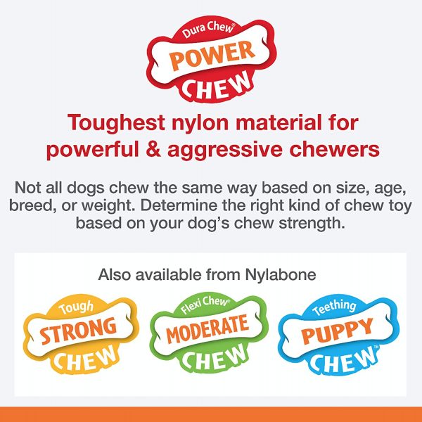 Nylabone Flavor Frenzy Power Chew