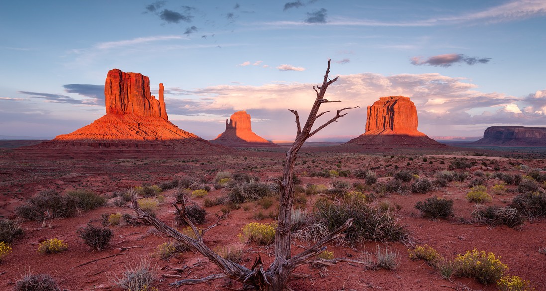 The theme of the Wild West