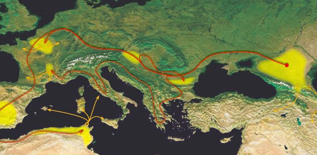 Alania - Homeland of the Alans