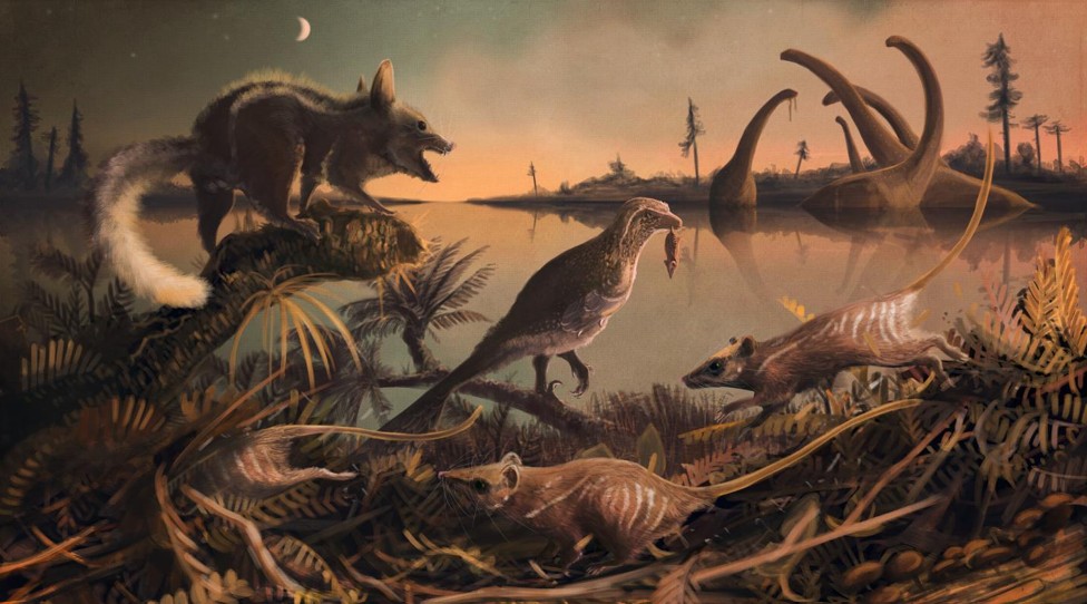The Big Five: Unpacking the History of Global Extinctions