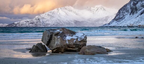 The Resilient Realm: Exploring the Wonders of Arctic Nature