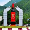 Khvanchkara: Unveiling Georgia's Regal Semi-Sweet Wine Treasure